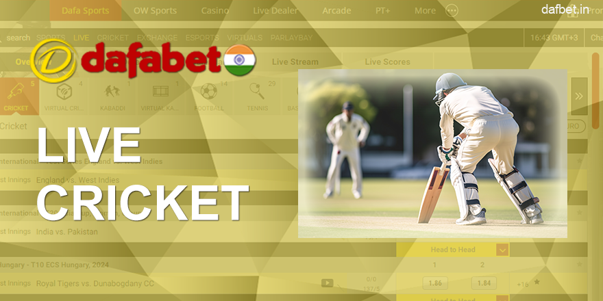 Live Cricket Bets in Dafabet